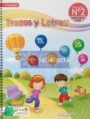 TRAZOS Y LETRAS N2 CALIGRAFIX