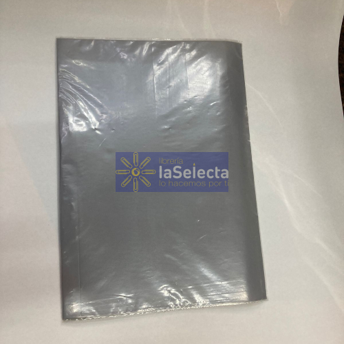 CARPETA PLASTIFICADA CON GUSANO OFICIO GRIS FULTONS