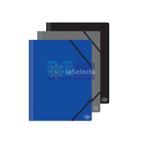 CARPETA PLASTICO CON ELASTICO HAND