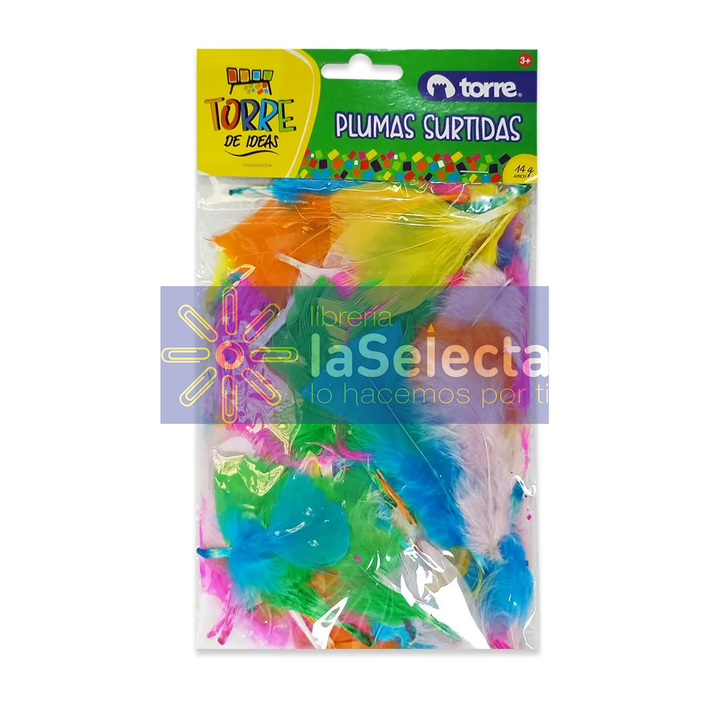 SET PLUMAS SURTIDAS 12 UN TORRE