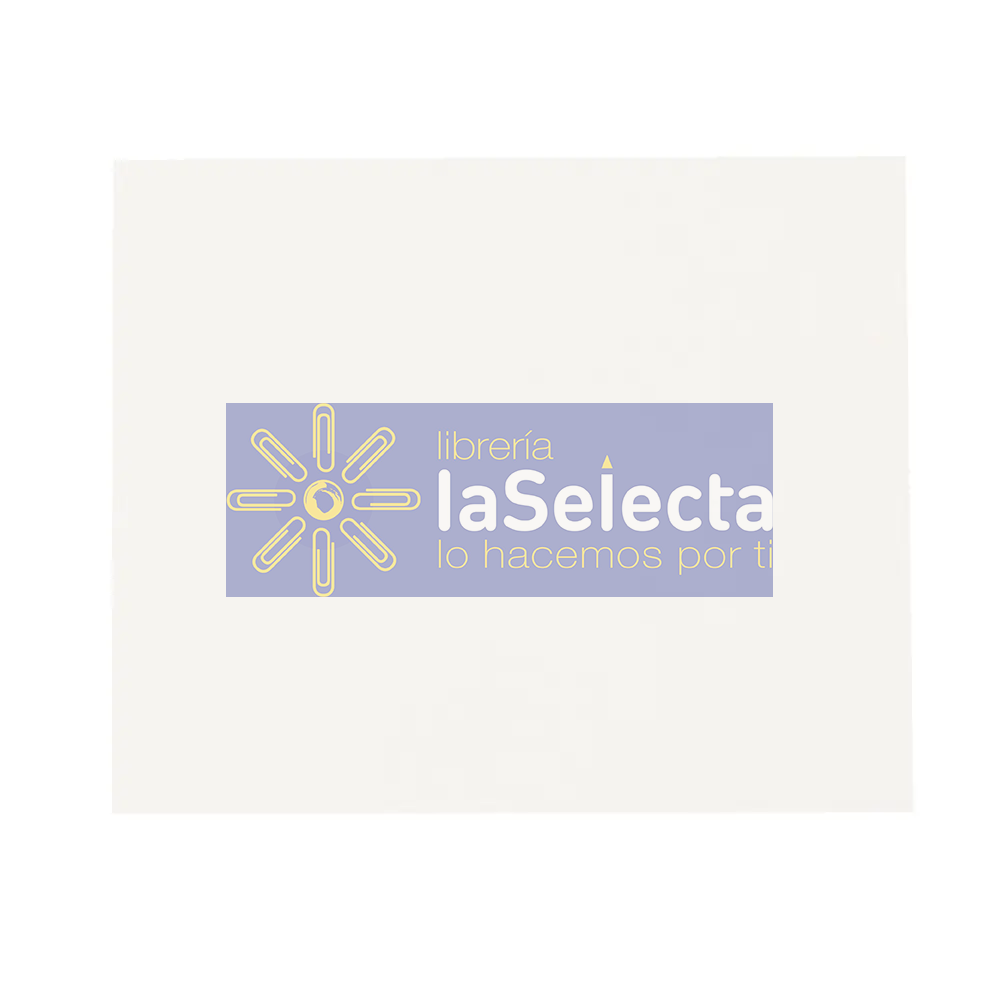 CARTON PINTADO BLANCO 55X77 CM 240 GR REVERSO MAULE MELIER