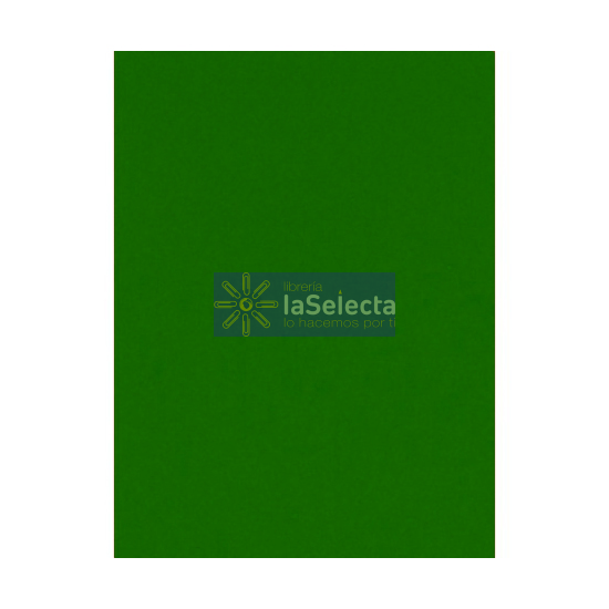 CARTON PINTADO VERDE OSCURO 55X77 CM 240 GR REVERSO MAULE MELIER