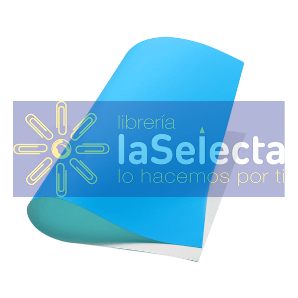 CARTON PINTADO CELESTE 55X77 CM 240 GR REVERSO MAULE MELIER