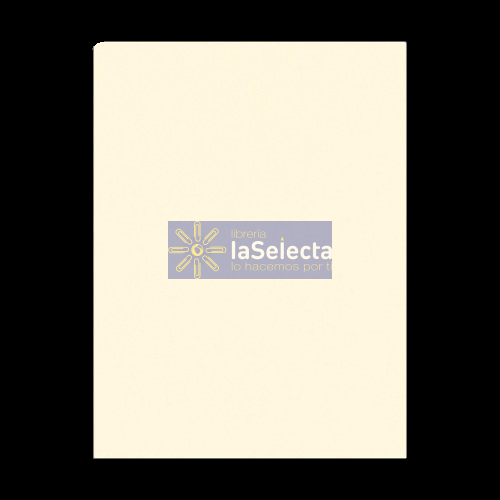 CARTON PINTADO PIEL 55X77 CM 240 GR REVERSO MAULE MELIER